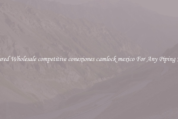 Featured Wholesale competitive conexiones camlock mexico For Any Piping Needs