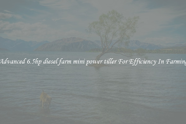 Advanced 6.5hp diesel farm mini power tiller For Efficiency In Farming