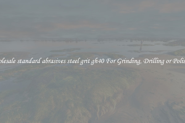 Wholesale standard abrasives steel grit gh40 For Grinding, Drilling or Polishing