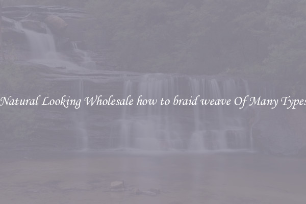 Natural Looking Wholesale how to braid weave Of Many Types