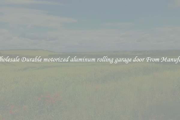 Buy Wholesale Durable motorized aluminum rolling garage door From Manufacturers