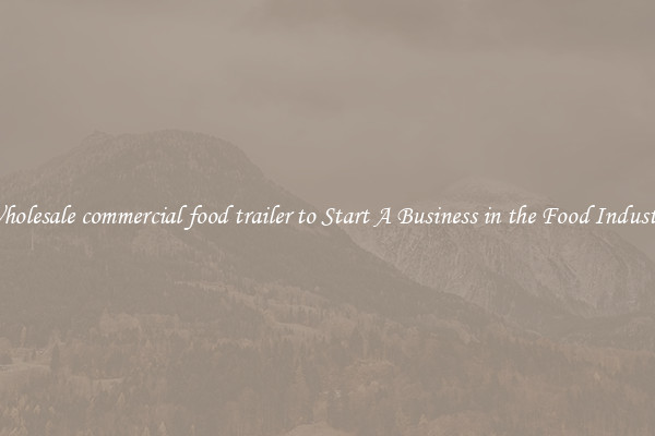 Wholesale commercial food trailer to Start A Business in the Food Industry