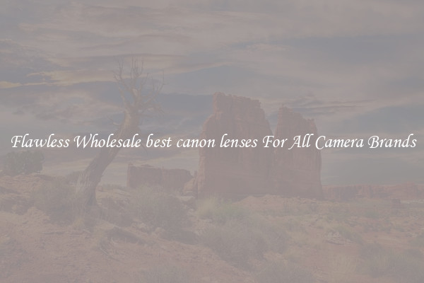 Flawless Wholesale best canon lenses For All Camera Brands