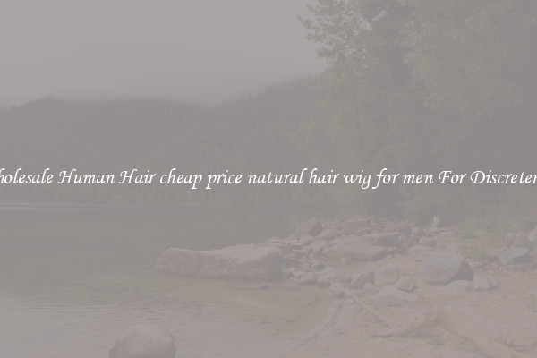 Wholesale Human Hair cheap price natural hair wig for men For Discreteness