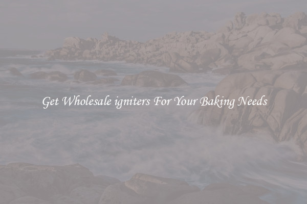 Get Wholesale igniters For Your Baking Needs