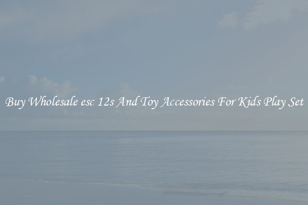 Buy Wholesale esc 12s And Toy Accessories For Kids Play Set