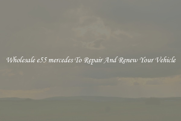 Wholesale e55 mercedes To Repair And Renew Your Vehicle