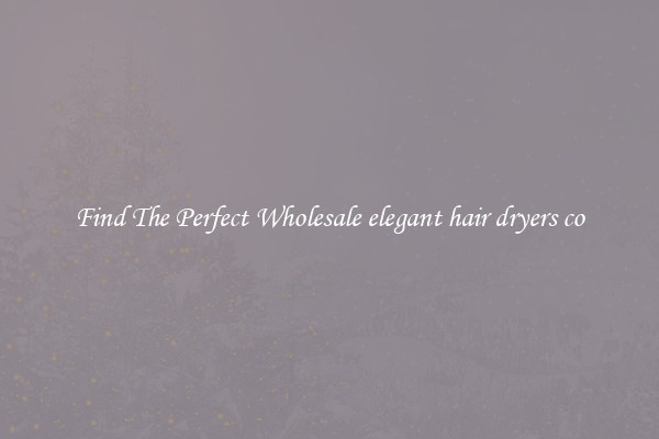 Find The Perfect Wholesale elegant hair dryers co