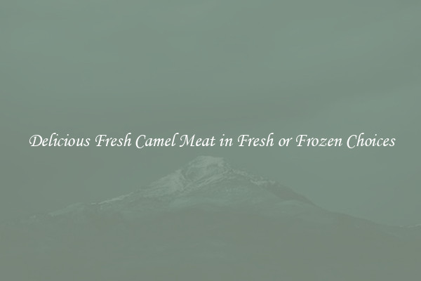 Delicious Fresh Camel Meat in Fresh or Frozen Choices