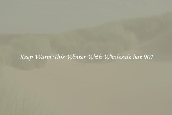 Keep Warm This Winter With Wholesale hat 901