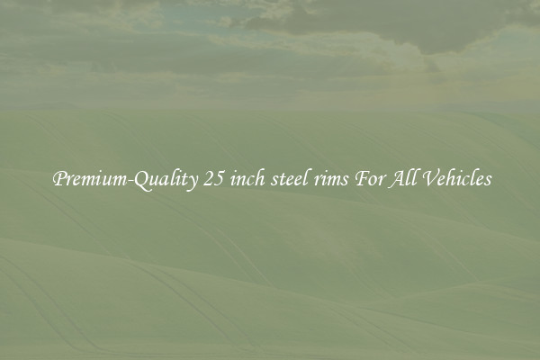 Premium-Quality 25 inch steel rims For All Vehicles